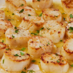 Scallop Recipes