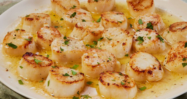 Scallop Recipes
