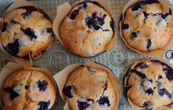 Blueberry Recipes